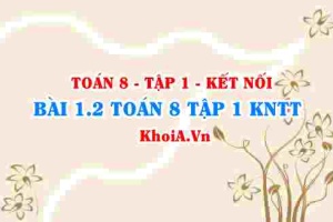 Bài 1.2 SGK Toán 8 tập 1 Kết nối tri thức